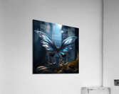 Spread your wing.  Acrylic Print