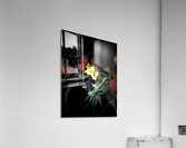 Portraits of Plants - Blossoms  Acrylic Print