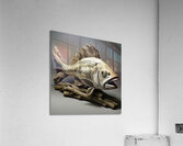 LARGEMOUTH BASS  Acrylic Print