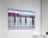 On Guard Acrylic Print