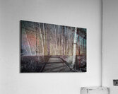 The Pathway Acrylic Print