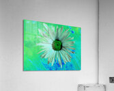 Abstract Surreal Green Daisy Acrylic Print