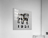 1951 Bulldog Art Acrylic Print