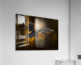 _TE83582 Acrylic Print