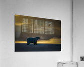 _TE89390 Acrylic Print