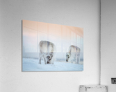 _TE80900 Acrylic Print