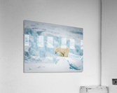 _TE80724 Acrylic Print