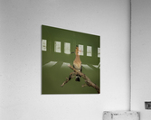 DSC_1334 Acrylic Print