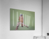 DSC_1196 Acrylic Print