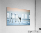 _TE80909 Acrylic Print