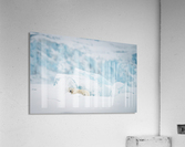 _TE80773 Acrylic Print