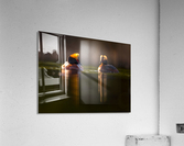 DSC_2156 Acrylic Print