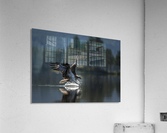 DSC_5386 Acrylic Print