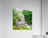 IMG_156804012212857086x6853 Acrylic Print