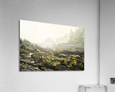 Botanical Beach 02 Acrylic Print