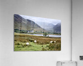 Kilchurn Castle Acrylic Print
