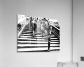  Everyday Lifes Moments- Ascending                                                                                                        Acrylic Print