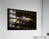 Twilight 1 Acrylic Print