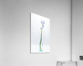 044A3502 Acrylic Print