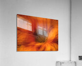044A3071 Acrylic Print