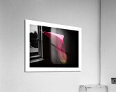 044A3572 Acrylic Print