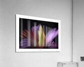 1Q8A1207 Acrylic Print