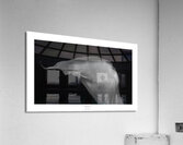 1Q8A1226 Acrylic Print
