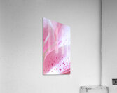 044A2264 Acrylic Print
