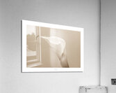 044A3520 Acrylic Print