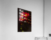 1Q8A1034 Acrylic Print