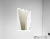 044A2247  Acrylic Print