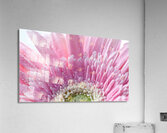 1Q8A7479 Acrylic Print