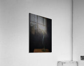 1Q8A7525 Acrylic Print