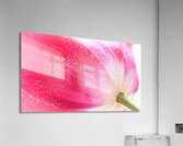 1Q8A7496 Acrylic Print