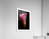 044A3580 Acrylic Print