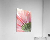 1Q8A7510 Acrylic Print