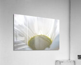 1Q8A1013 Acrylic Print