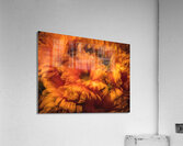 044A3078 Acrylic Print
