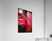 044A3394 Acrylic Print