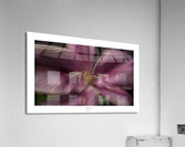 1Q8A1024 Acrylic Print