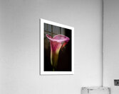 044A3630 Acrylic Print