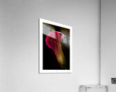 044A3633 Acrylic Print