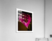 044A3611 Acrylic Print