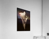 044A3788 Acrylic Print