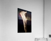 044A3831 Acrylic Print