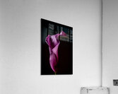 044A3845 Acrylic Print