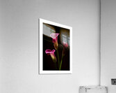 044A3663 Acrylic Print