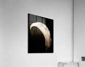 044A3751 Acrylic Print