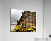   Abstract Mesmerizing Ripples                                                                                                          Acrylic Print