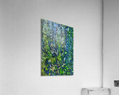 Abstract 009 Acrylic Print